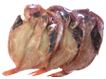 Semi-Dried Fish