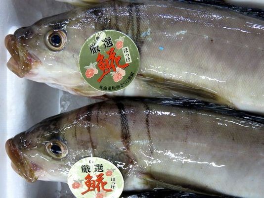 魚へんに花でホッケです 横浜丸魚株式会社