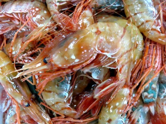 牡丹色したボタンエビ 横浜丸魚株式会社