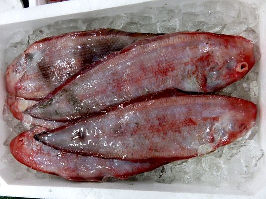 見た目に反して繊細な味 アカシタビラメ 横浜丸魚株式会社