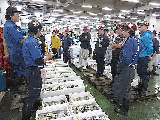 就活には、事前の企業調査が大切です。  横浜丸魚株式会社