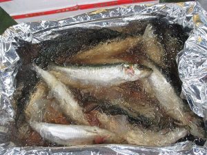 IMG_1970
