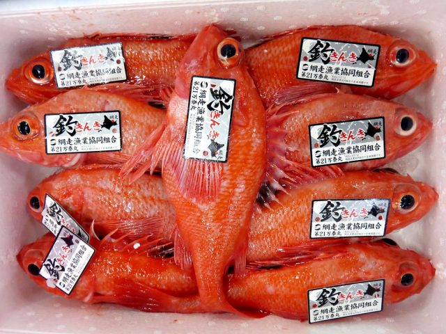 釣きんきは プレミアムブランド 横浜丸魚株式会社