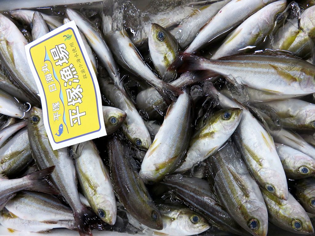 ウリボウを美味しく食べたい 横浜丸魚株式会社