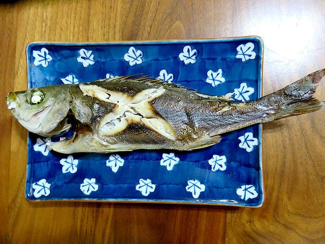 定番のイサキの塩焼きはいけます 横浜丸魚株式会社 定番のイサキの塩焼きはいけます 横浜丸魚株式会社