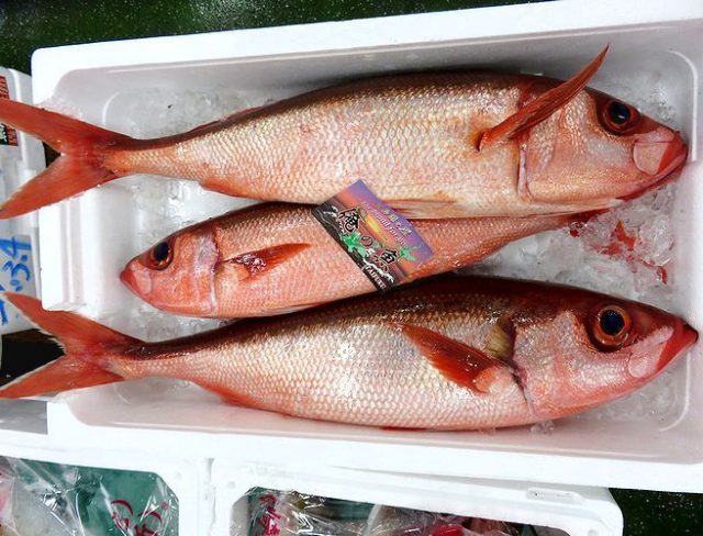 裏横浜知ってますか 横浜丸魚株式会社