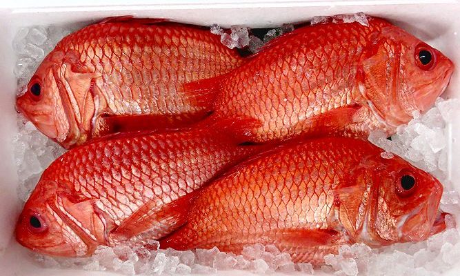 エビスダイのウロコは食べれますか 横浜丸魚株式会社