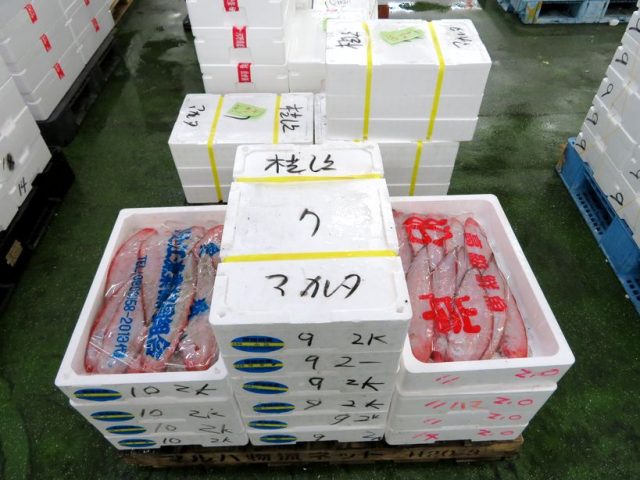 シタビラメは皮むきが楽しいですよ 横浜丸魚株式会社