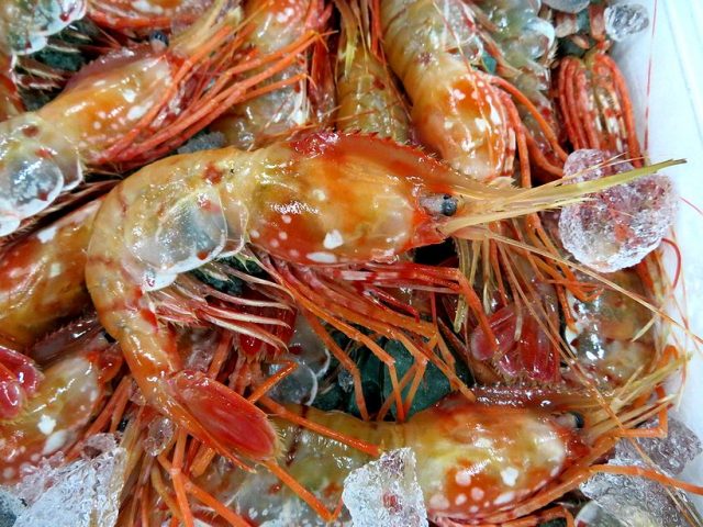 巨大トヤマエビ いったい何歳ですか 横浜丸魚株式会社 巨大トヤマエビ いったい何歳ですか 横浜丸魚株式会社