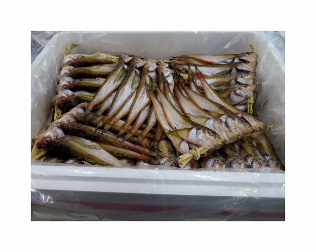 ハタハタは素材重視 お好みの方法で食べて欲しいです 横浜丸魚株式会社