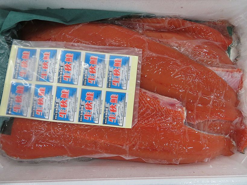 秋鮭、ただいま入荷量が増加中です。 | 横浜丸魚株式会社
