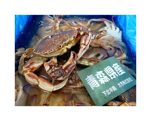 青森県からイニシャルｈなカニが登場 ヒラツメガニです 横浜丸魚株式会社
