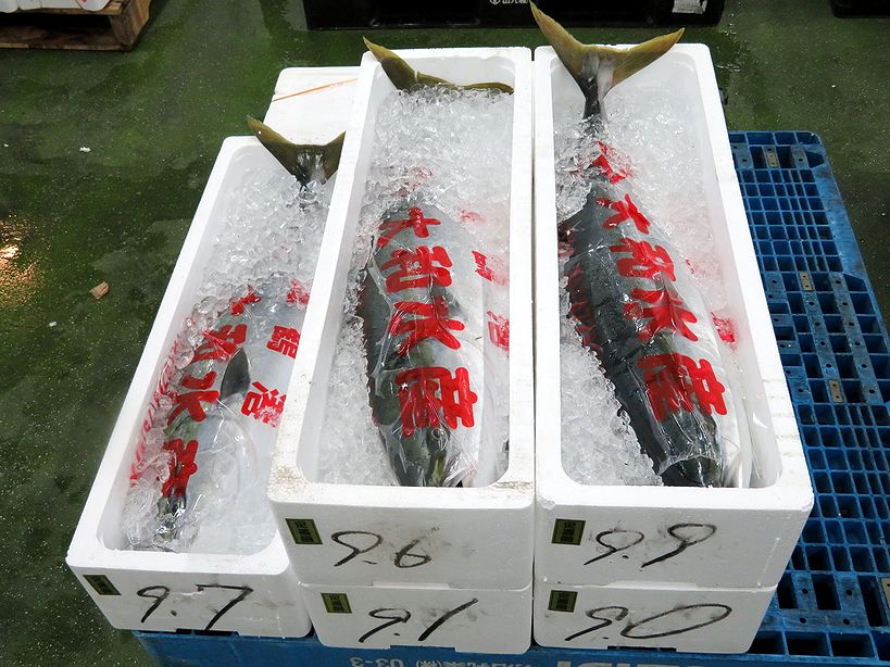 重さに耐えきれず乱箱 ブリが大変だ 横浜丸魚株式会社