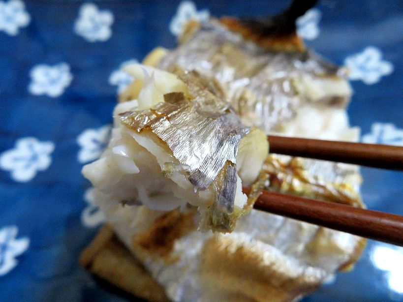 タチウオは脂ののり優先ですか いいえ オキナワオオタチを食べて新発見 横浜丸魚株式会社