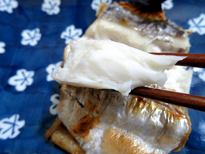 タチウオは脂ののり優先ですか いいえ オキナワオオタチを食べて新発見 横浜丸魚株式会社