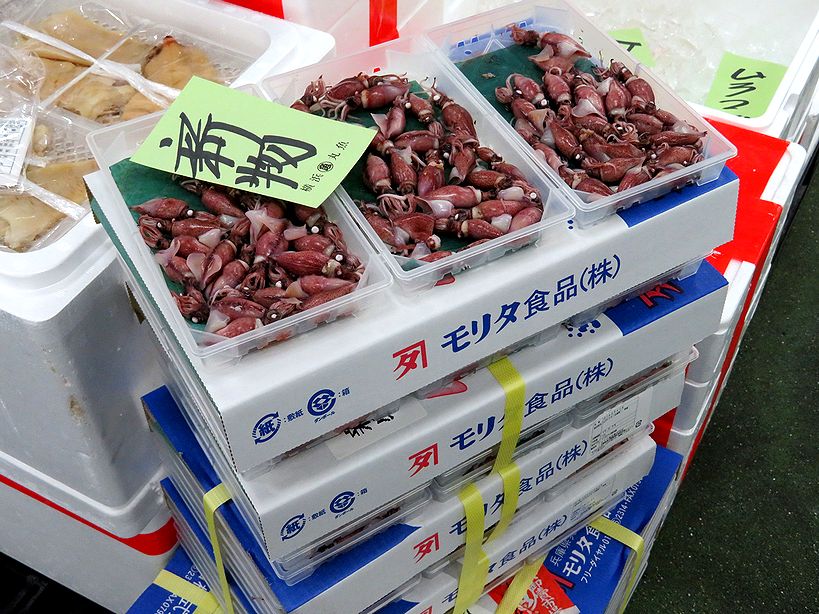 今は兵庫県産 来月から富山県産のホタルイカも入荷しますよ 横浜丸魚株式会社 今は兵庫県産 来月から富山県産のホタルイカも入荷しますよ 横浜丸魚株式会社