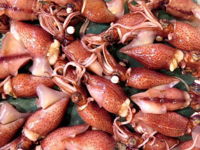 和ｖｓ洋 甲乙つけ難し旬のホタルイカ 横浜丸魚株式会社