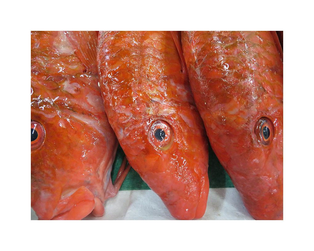 鯉 姫 女郎 オジサン ヒメジです 横浜丸魚株式会社