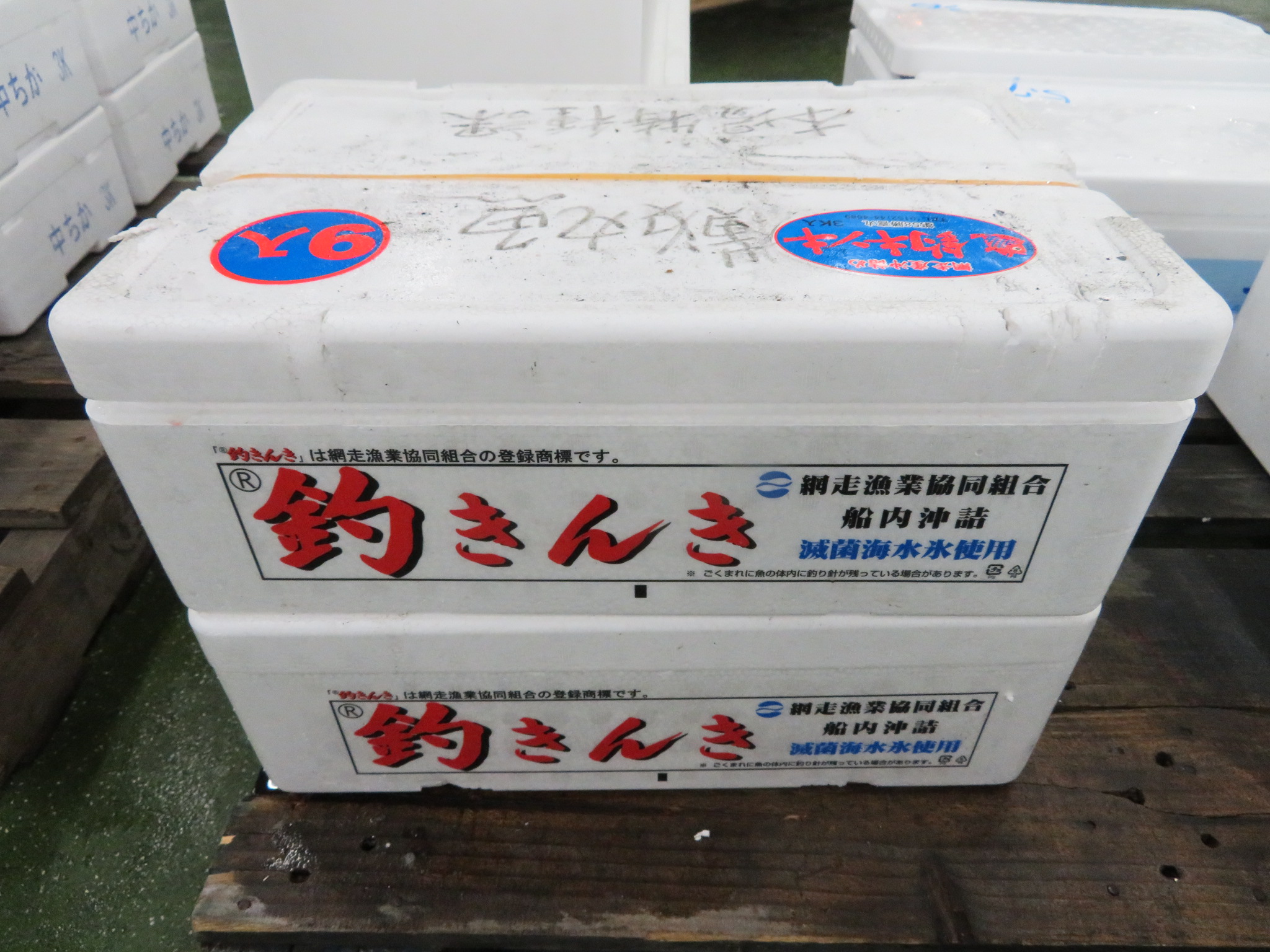 初物 網走の 釣きんき 登場しました 横浜丸魚株式会社