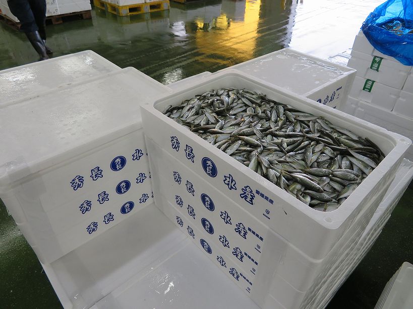 根室直送の海鮮通販｜丸仁オンラインショップ｜特選珍味