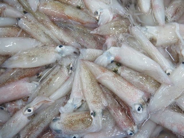 小ヤリは丸ごと味わってしまいましょう 横浜丸魚株式会社