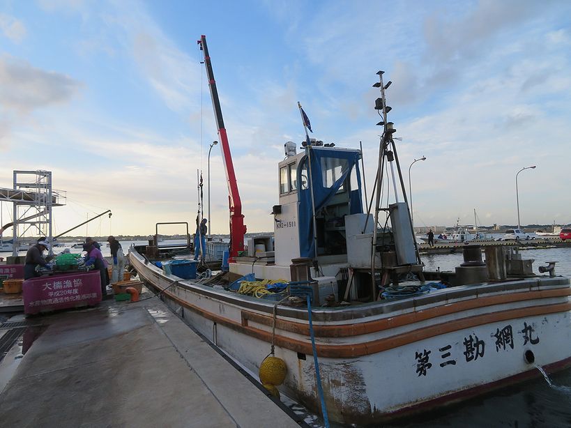 JF横須賀市大楠漁協、いい魚水揚げされています。 | 横浜丸魚