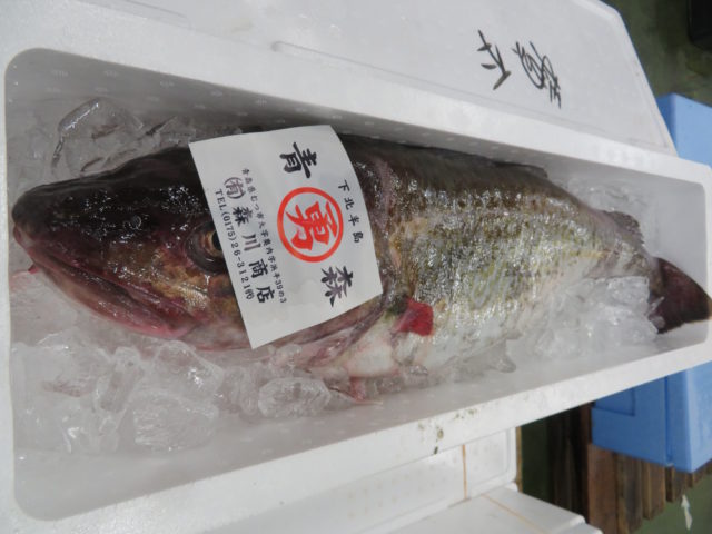 真鱈も良いけどスケトウダラも良いな 横浜丸魚株式会社
