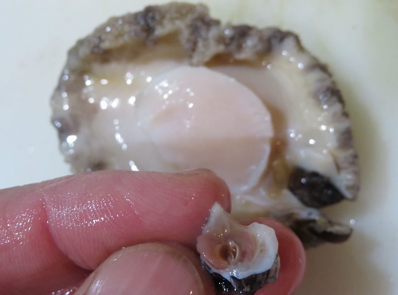 アワビのバター醤油焼きで株上るの 横浜丸魚株式会社
