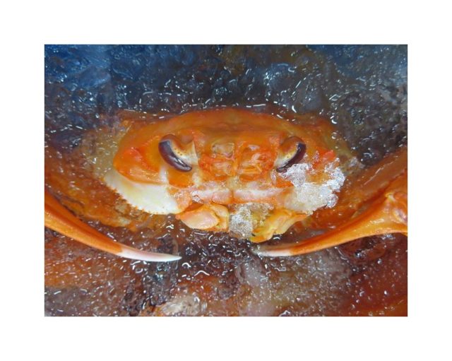 紅ズワイガニ お手頃なうちに食べておこう 横浜丸魚株式会社
