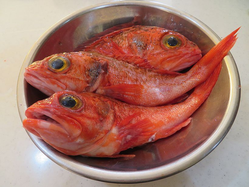 煮魚には正しい流儀があるんだ 横浜丸魚株式会社