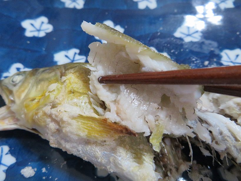 美味しい理由は必ずある 紀州うめぇ鮎 横浜丸魚株式会社