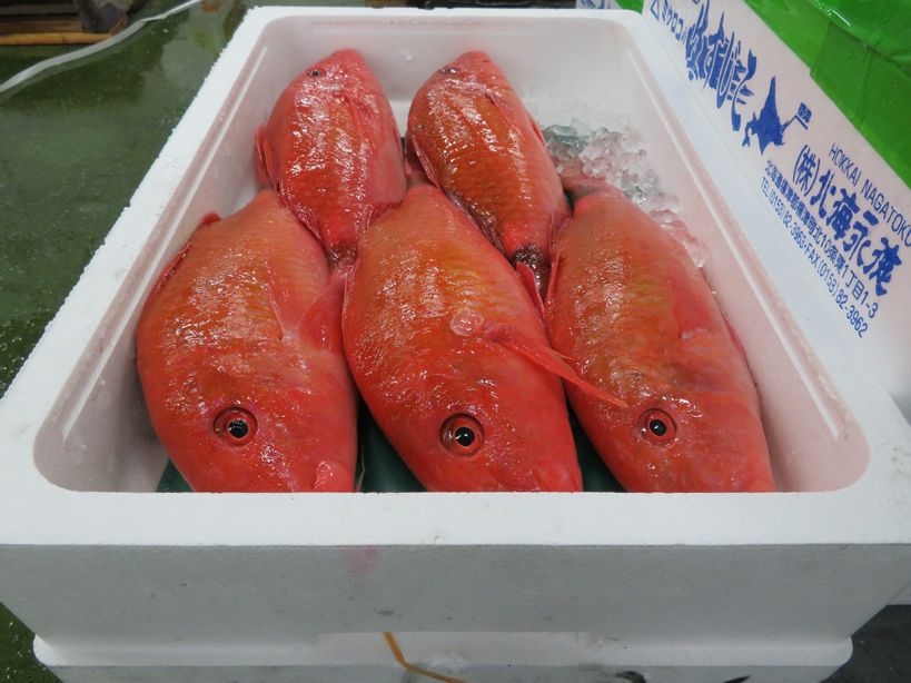 この魚オジサンだと思ったら、人違い＝魚違いだった。  横浜丸魚株式会社