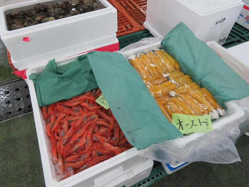 ボラの真子は 高くても気になる存在です 横浜丸魚株式会社