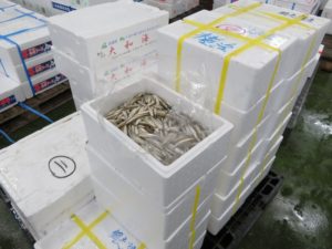ワカサギのニオイは 匂い 臭い どっちなの 横浜丸魚株式会社