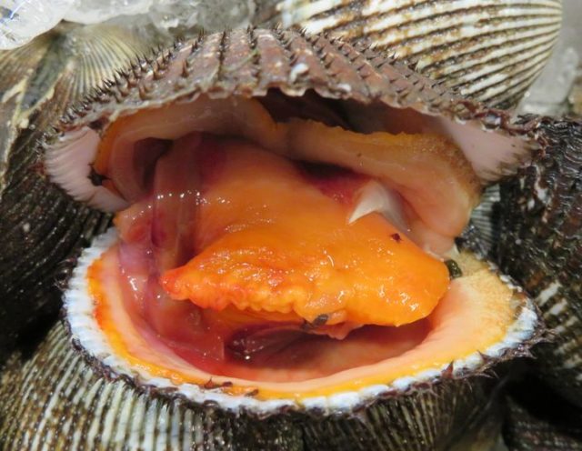 貴重な国産赤貝はどうなの 横浜丸魚株式会社