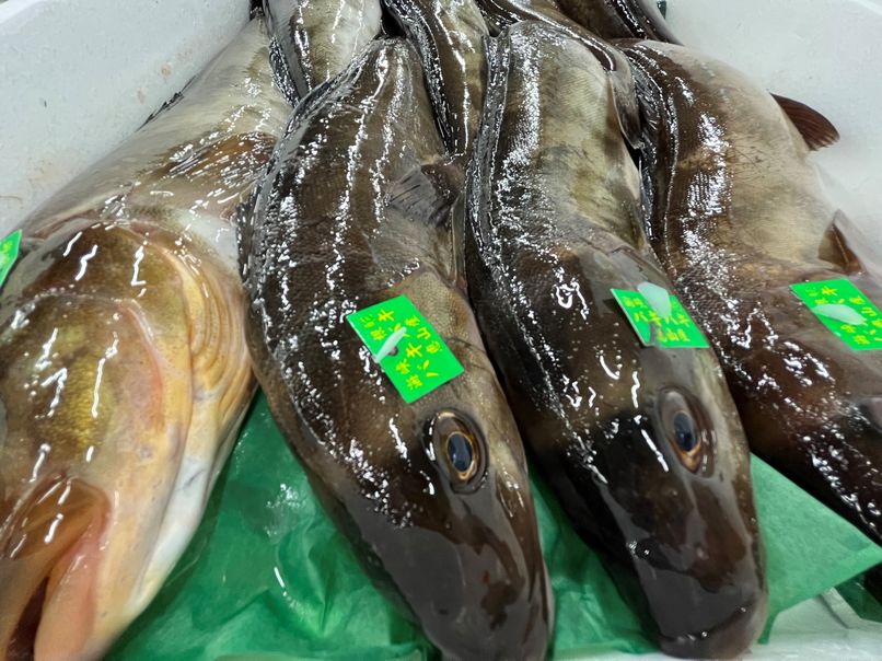 バキバキは 刺身可能な ほっけ です 横浜丸魚株式会社