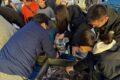 やっぱり地魚詰め放題は盛り上がる。