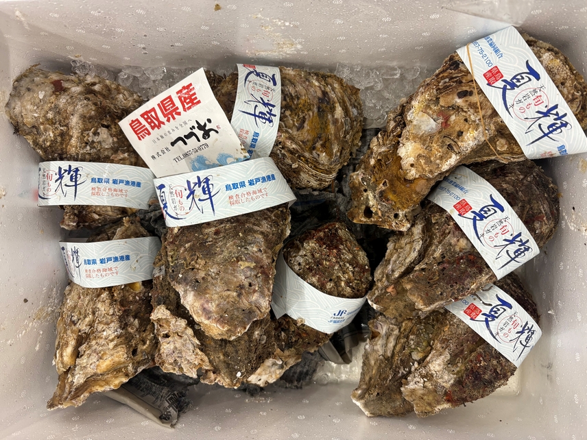 「夏輝」の夏がやって来た。